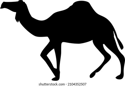 Camel vector silhouette. Silk road symbol. Desert ship.