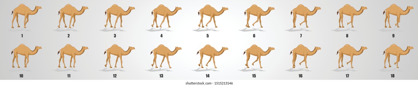Camel walk cycle Animation sequence, animation frames.
