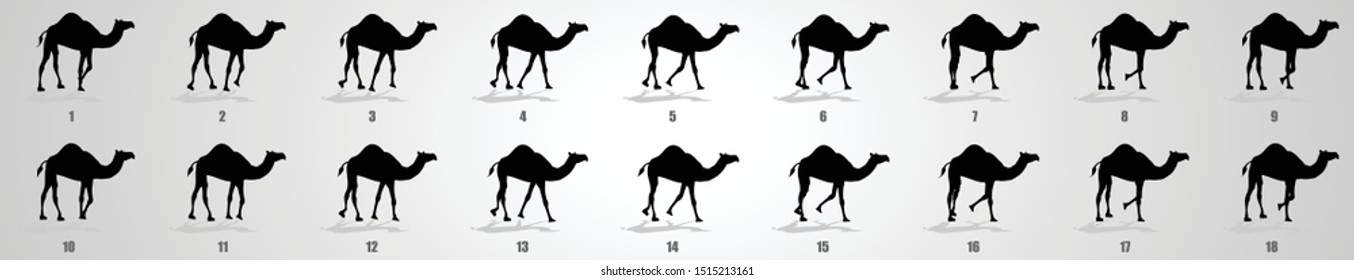 Camel Walk Cycle Animation Sequence, Animation Frames