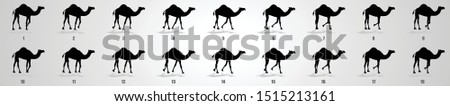 Similar – Image, Stock Photo Camel walk