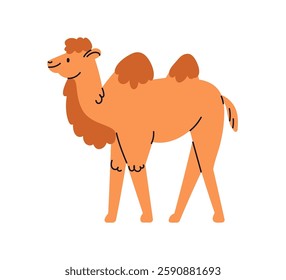 Camel walking. Cute desert mammal with two fluffy humps. Exotic tropical wild animal profile, side view. Adorable fauna, wildlife, nature. Flat vector illustration isolated on white background