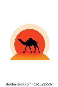 A camel walking in the desert