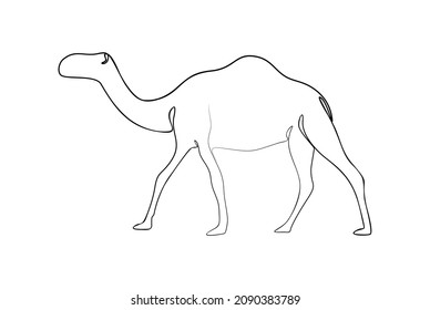 Camel walking line art with black color on line and white background