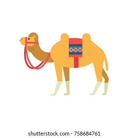 Camel whit saddle and cover on the back, two humped desert animal, symbol of traditional Egyptian culture vector Illustration