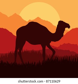 Camel in wild Africa nature landscape illustration