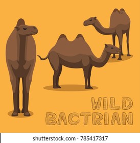 Camel Wild Bactrian Cartoon Vector Illustration