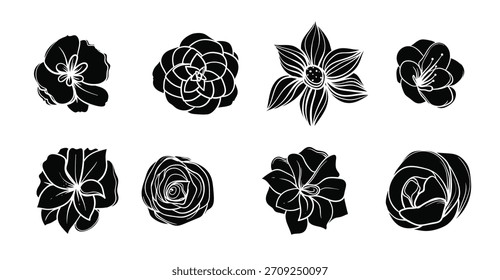 camelia flower vector vector illustration