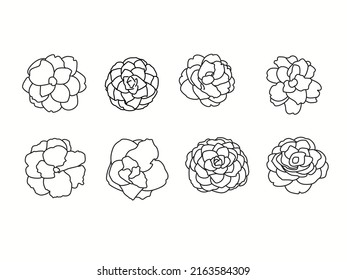 camelia flowers outline.set of flat thin line modern icons. Logo or icons concept