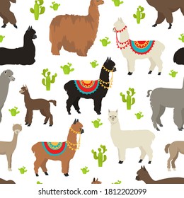 Camelids family collection. Alpaca seamless pattern design. Vector illustration