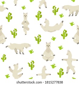 Camelids family collection. Alpaca yoga graphic design. Vector illustration