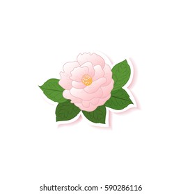 Camellia background. Camellia fashion pin badge, brooch, sticker, patch. Camellia background. Beautiful design element for your festive design. Vector illustration.