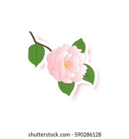 Camellia background. Camellia fashion pin badge, brooch, sticker, patch. Camellia background. Beautiful design element for your festive design. Vector illustration.