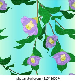 Camellia branches. Seamless pattern.Vector illustration. Flowers, buds and leaves - a branch of camellia.  Perfumery and cosmetic plants. Wallpaper. Use printed materials, signs, posters, postcards.