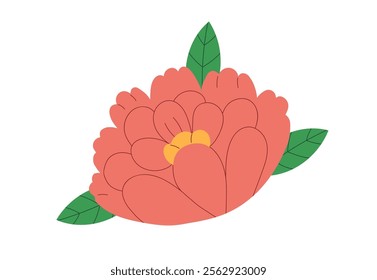 Camellia, flower bloom. Gorgeous blossom with gentle delicate lush petals, leaf. Botanical natural design element. Garden floral bud, decoration. Flat vector illustration isolated on white background