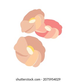 camellia flower with flat vector illustration