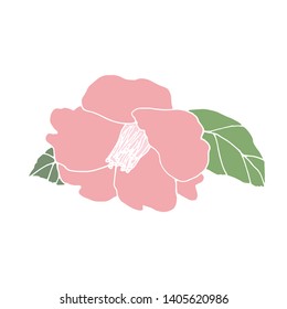 Camellia flower hand drawn illustration. Line-art flower drawing. Blooming detailed flower. Elements for design. Floral background.
