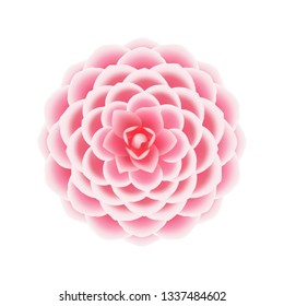 Camellia flower icon. Realistic illustration of camellia flower vector icon for web design isolated on white background