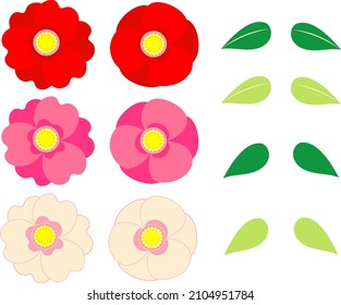 Conjunto de ilustraciones de flores y hojas de camellia
