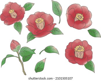 Camellia Flower and Leaf Set