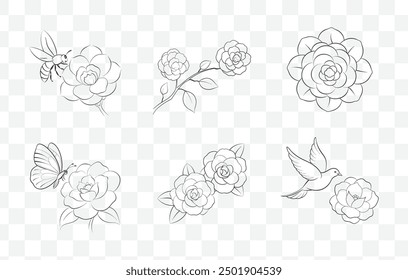 Camellia Flower Line Art Vector Set Detailed Botanical Illustrations of Camellia Blossoms and Foliage