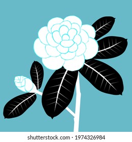 camellia flower vector abstract bright color illustration