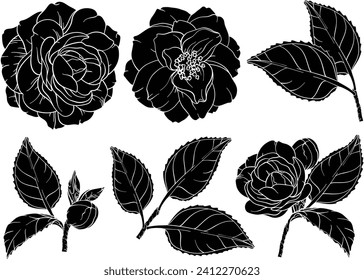 Camellia flowers silhouettes set. Camellia and rose flower collection. Vector illustration.