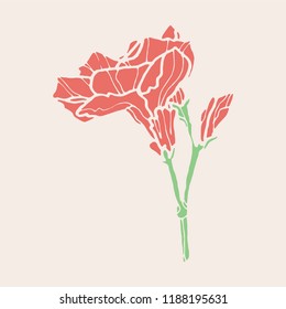 Camellia hand drawn colored vector illustration