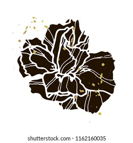 Camellia hand drawn vector illustration