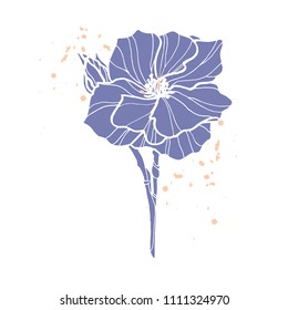 Camellia hand drawn vector.Engraved style illustration.Graphical image of hand-drawn camellia flower. isolated on white.vector EPS10. flower drawing and sketch with violet and white.texture background
