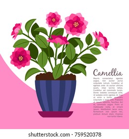 Camellia indoor plant in pot banner template, vector illustration