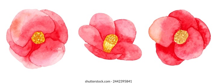 Camellia japonica with red double flowers.Botanical watercolor illustration.Simple stylized style. Set of decorative elements for a greeting card or wedding invitation. Hand drawn isolated art.Vector.