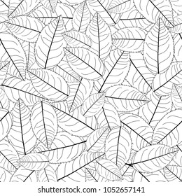 Camellia Leaves Outline on White Background. Vector Illustration.