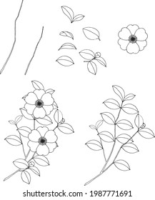 
Camellia parts drawn with lines 