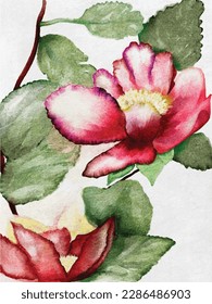 Camellia with red flowers. Watercolor style. Vector.
