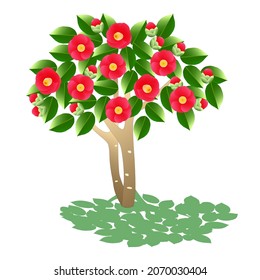 Kamelien voller roter Blumen in der Sonne