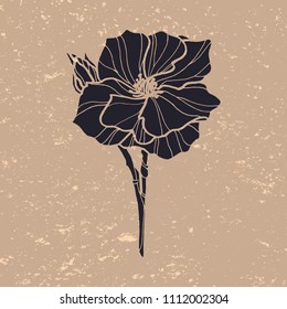 Camellia vector illustration