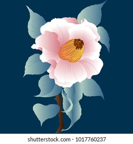 Camellia. Vector image. Pink flower - background. Isolated object. Use printed materials, signs, objects, websites, maps, posters, postcards, packaging.