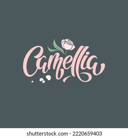 Camellia Vector Lettering Illustration. Template for logo, uniform, cover, poster, label, signboard, post card, banner, social media