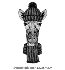Camelopard, giraffe Cool animal wearing knitted winter hat. Warm headdress beanie Christmas cap for tattoo, t-shirt, emblem, badge, logo, patch