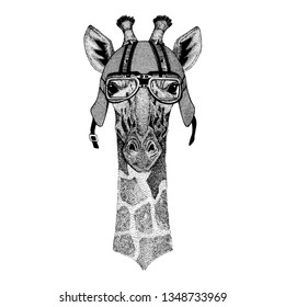 Camelopard, giraffe wearing a motorcycle, aero helmet. Hand drawn image for tattoo, t-shirt, emblem, badge, logo, patch