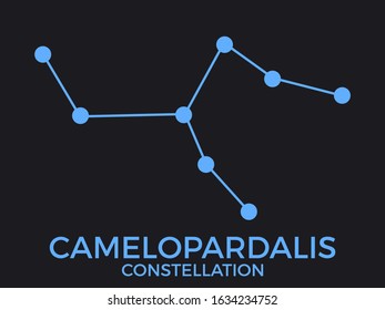 Camelopardalis constellation. Stars in the night sky. Cluster of stars and galaxies. Constellation of blue on a black background. Vector illustration
