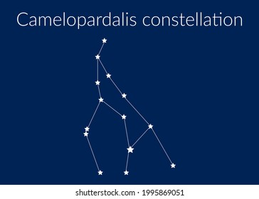 Camelopardalis zodiac constellation sign with stars on blue background of cosmic sky. Vector illustration