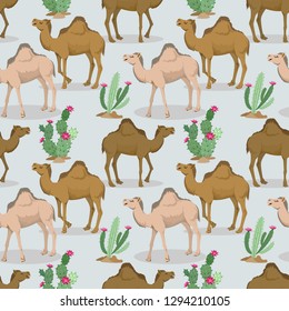 Camels and cactus in the desert pattern