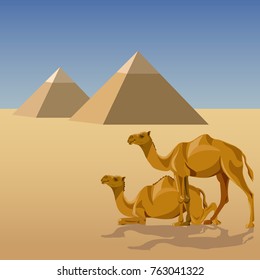 Camels in desert with egyptian pyramids. Vector illustration