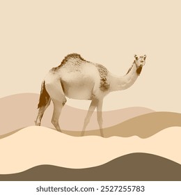 Camels in the desert. Vector illustration of a camel in the desert.