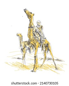 Camels free hand Drawing vector Art. 