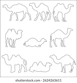 Camels have long eyelashes and their closable nostrils protect them from sandstorms.