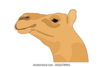 Perfil da cabeça do Camelo, Camel Face Vista lateral Ilustração Vetor isolado em um fundo branco.