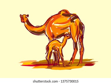 Camels illustrated art