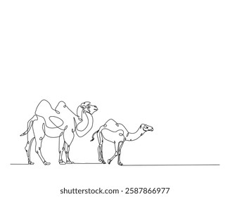 Camels one line drawing illustration. Camel walking in the desert  monoline design.  